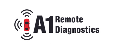 A1 Remote Diagnostics Interface